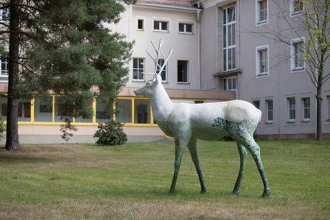 Städtisches Klinikum Dresden Weißer Hirsch