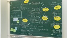 Ausbildung