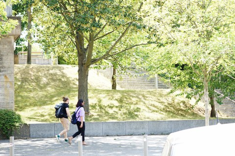 student, studentin, students, studierende, campus, campusleben, uni, outdoor, sommer, friends, university, universität, education, young people, walk together, austausch, gemeinsam, together, communication