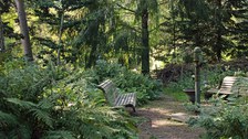 Die Farngrotte im Botanischen Garten lädt zum Verweilen ein.