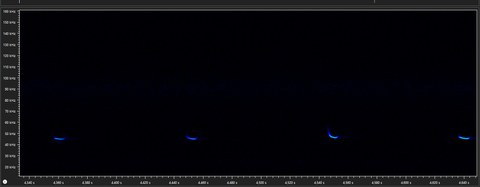 Fledermaus-Rufsequenz als Grafik