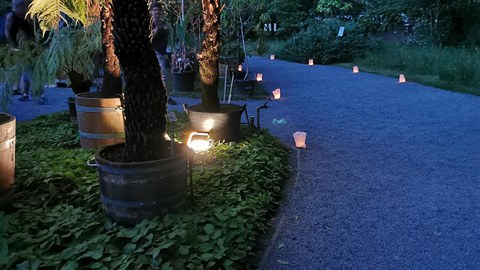 beleuchteter Weg mit Kerzen