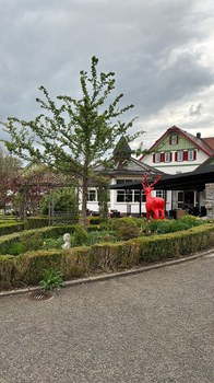 Landgasthof Hirsch