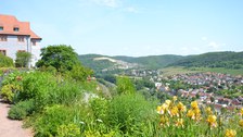 Gartenpartie Dornburger Schlösser