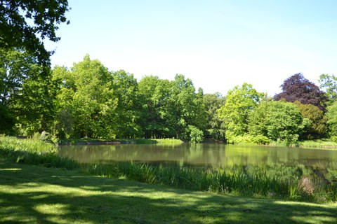 Englischer Garten Gotha