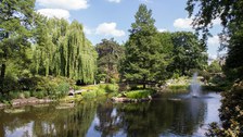 Botanischer Garten