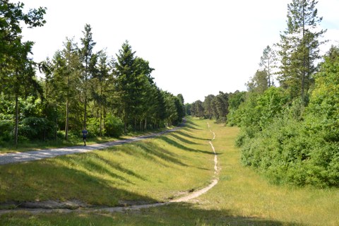 Fischbachtal