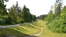 Fischbachtal