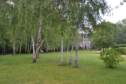 Villa Liebermann 2