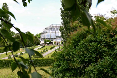 Gewächshaus