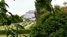 Gewächshaus