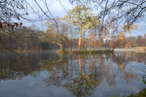 Schwanenteich