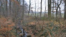 Sicht vor Freistellung