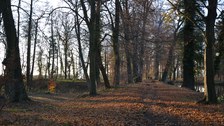 Parkimpression