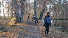 Reinemachen auf dem Dammweg