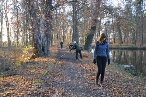Reinemachen auf dem Dammweg