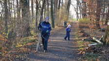 Reinemachen auf dem Dammweg