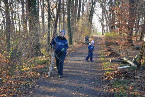 Reinemachen auf dem Dammweg