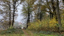 Blick über eine Wiese zum Schloss Thammenhain, alles noch zugewachsen.
