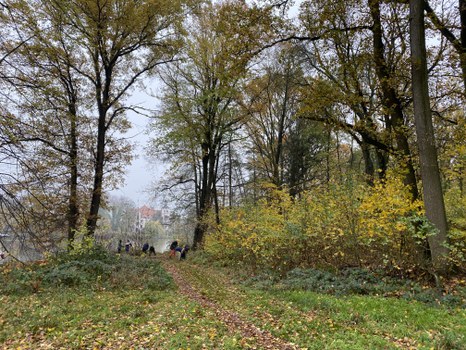 Blick über eine Wiese zum Schloss Thammenhain, alles noch zugewachsen.