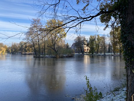 Blick vom Dammweg über die Insel zum Schloss.