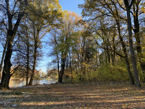Blick über eine Wiese zum Schloss Thammenhain, Aufwuchs beseitigt, offener Durchblick.