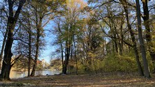 Blick über eine Wiese zum Schloss Thammenhain, Aufwuchs beseitigt, offener Durchblick.