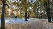 Die Morgensonne scheint durch die Äste in den winterlichen Park.