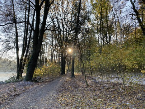 Die Morgensonne scheint auf einen Parkweg.