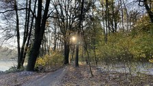 Die Morgensonne scheint auf einen Parkweg.