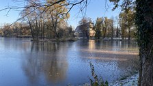 Blick vom Dammweg über die Insel zum Schloss. Störender Robinienaufwuchs ist beseitigt.