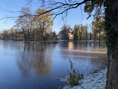 Blick vom Dammweg über die Insel zum Schloss. Störender Robinienaufwuchs ist beseitigt.