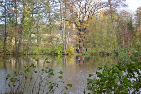 Thammenhain: Alteiche