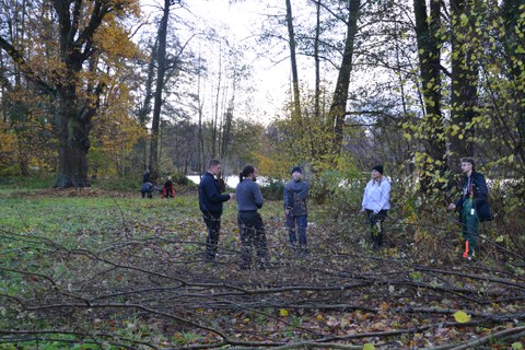 Thammenhain: nach Fällarbeiten