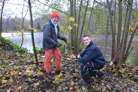 Thammenhain: Aufwuchsbeseitigung