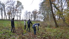 Thammenhain: Aufwuchsbeseitigung2