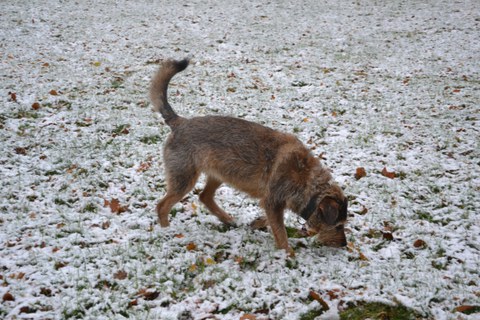 Thammenhain: Ebba