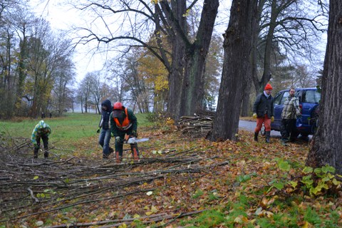 Thammenhain: bei der Arbeit2