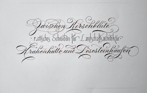Schriftzug zum Seminar Poetisches Schreiben