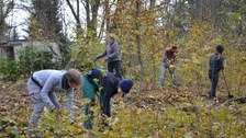Foto zeigt Pflegearbeiten im Schlosspark.