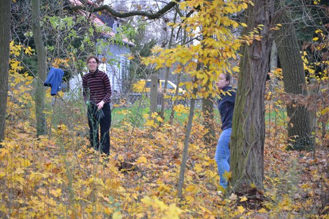 Foto zeigt einen Einsatz zur Wildwuchsbeseitigung im Thammenhainer Schlosspark.