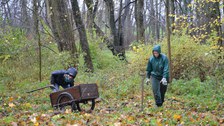Foto zeigt die Wildwuchsbeseitigung im Thammenhainer Schlosspark durch Studenten und Freiwillige. 