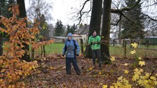 Foto zeigt die Wildwuchsbeseitigung im Thammenhainer Schlosspark durch Studenten und Freiwillige. 