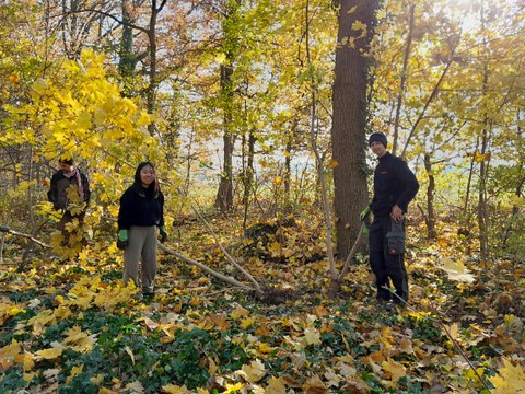 Parkpflegeeinsatz in Thammenhain. 