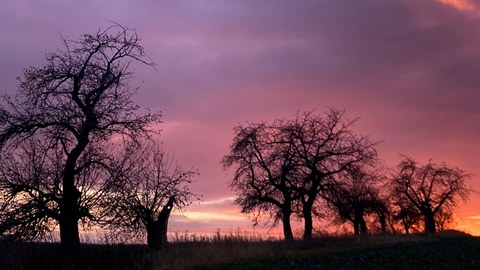 Sonnenuntergang zwischen Somsdorf und Tharandt