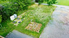 Drohnenaufnahme Forschungsgründach