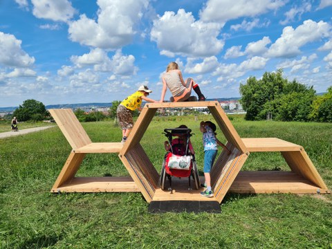 wabenförmiges Spielgerät aus Holz