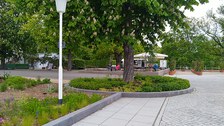 Weg mit Bäumen und Beeten