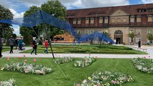 Blumenwiese