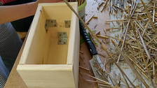 Eine Holzbox wird mit Schilfrohren befüllt